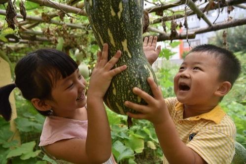 最新校园瓜爆料,揭秘最新校园瓜爆料背后的真相 第2张 最新校园瓜爆料,揭秘最新校园瓜爆料背后的真相 第2张